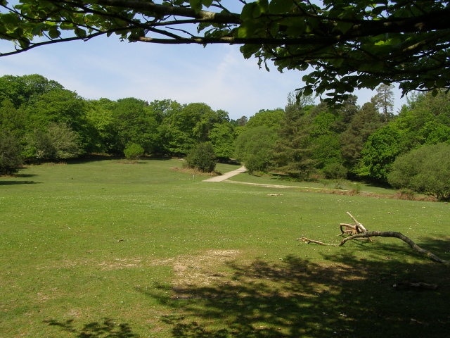 Clearing between Blackwool and King's Garn Gutter Inclosure, New Forest Looking uphill towards the concrete road that runs up through the Long Beech caravan and camp site on the southern edge of King's Garn Gutter Inclosure. A path off to the left leads up Tom Pook's Hill, the cycle track off to the right enters King's Garn Gutter Inclosure.