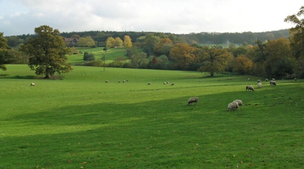 "Theydon Garnon"-foto av Steven Muster (CC BY-SA) / Urklipp från original
