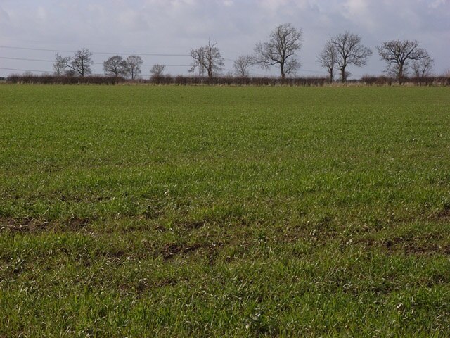 Foto „Padbury“ von Andrew Smith (CC BY-SA)/zugeschnittenes Original