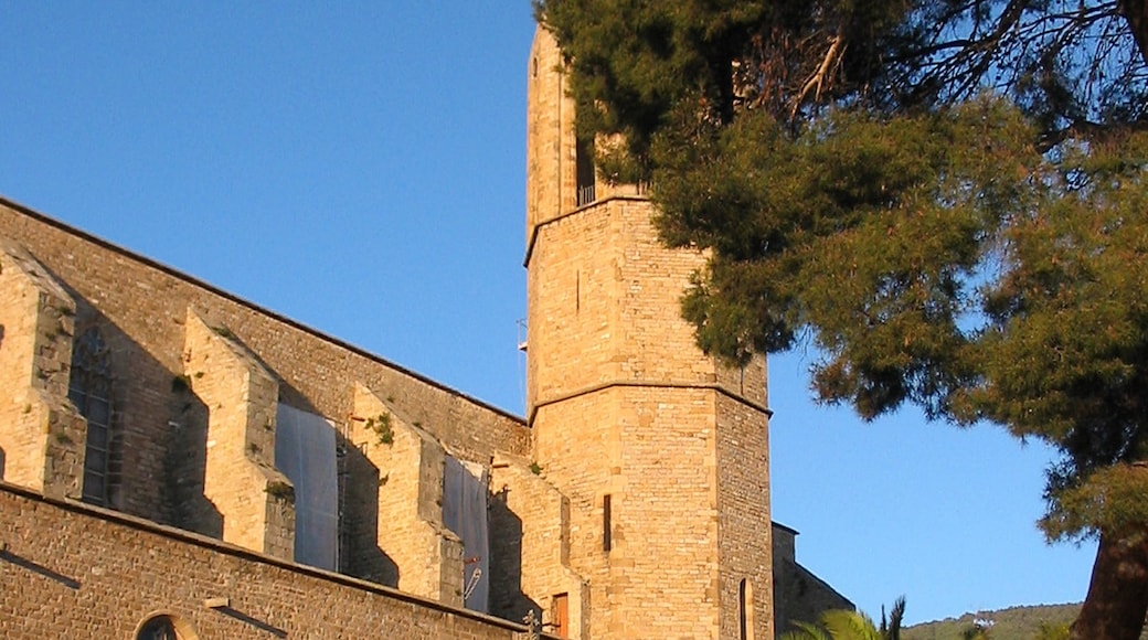 Foto ‘Monasterio de Pedralbes’ van Ludvig14 (CC BY-SA) / bijgesneden versie van origineel