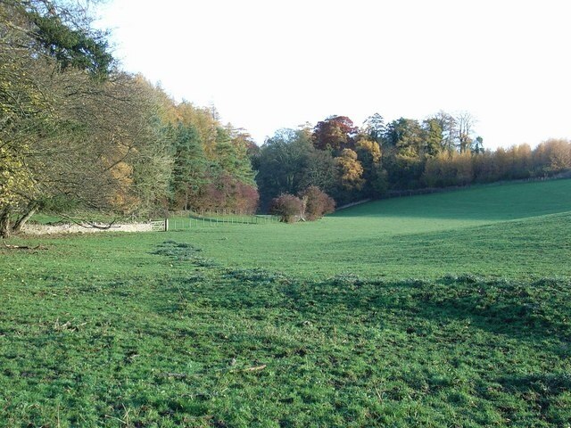 Kuva ”Swell” käyttäjältä Jennifer Luther Thomas (CC BY-SA) / rajattu alkuperäisestä kuvasta