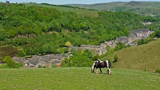 Photo "Walsden" by Tim Green (CC BY) / Cropped from original