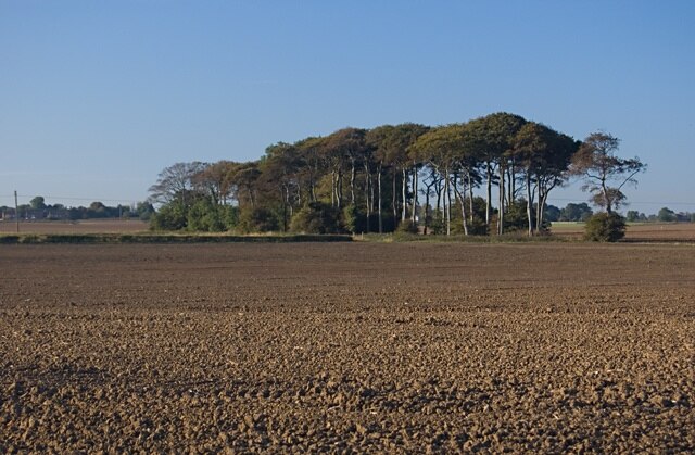 Photo "Humbleton" by Paul Harrop (CC BY-SA) / Cropped from original