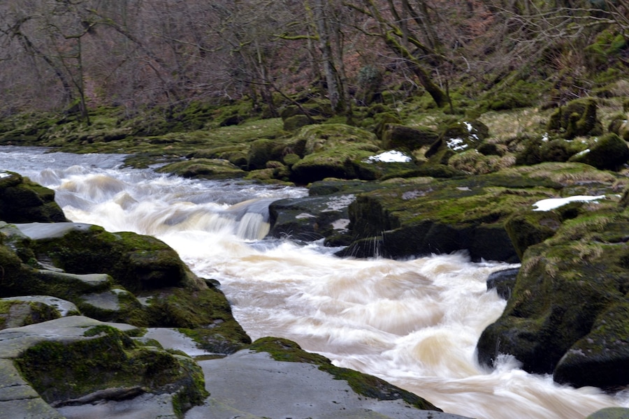 Bolton Abbey