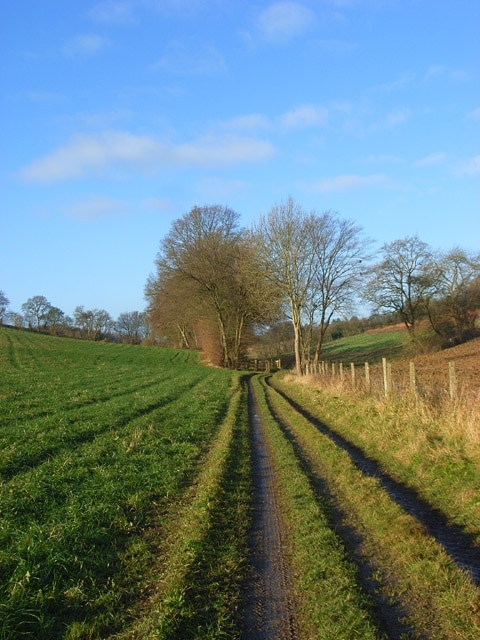 Billede "Chartridge" af Andrew Smith (CC BY-SA) / beskåret fra det originale billede