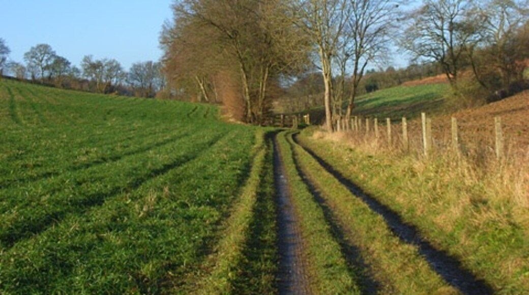 Billede "Chartridge" af Andrew Smith (CC BY-SA) / beskåret fra det originale billede