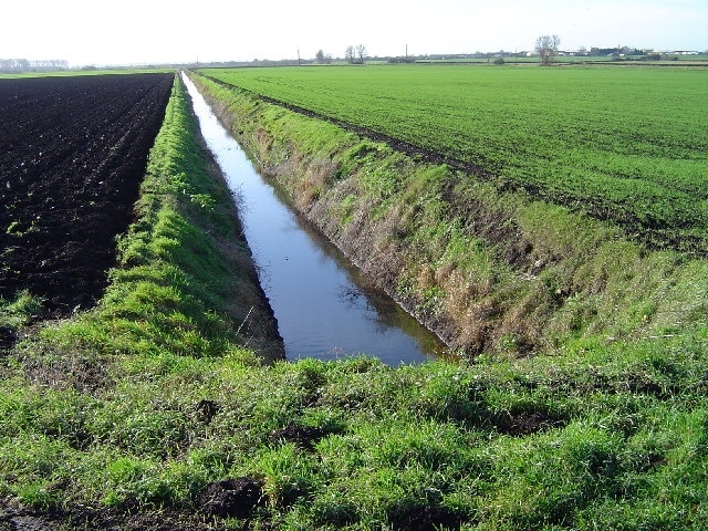 Conquest Drove, SE of Farcet. From Conquest Drove looking SW towards Yaxley.