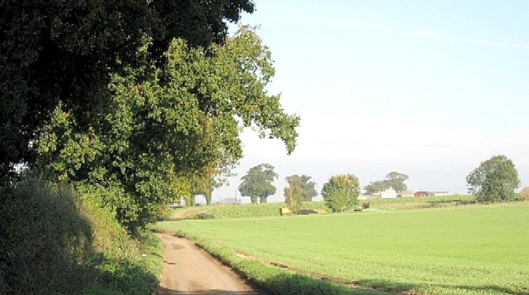 Kuva ”North Pickenham” käyttäjältä Roger Gilbertson (CC BY-SA) / rajattu alkuperäisestä kuvasta