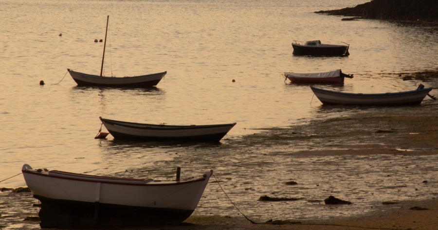 Saint-Suliac. Barcas.