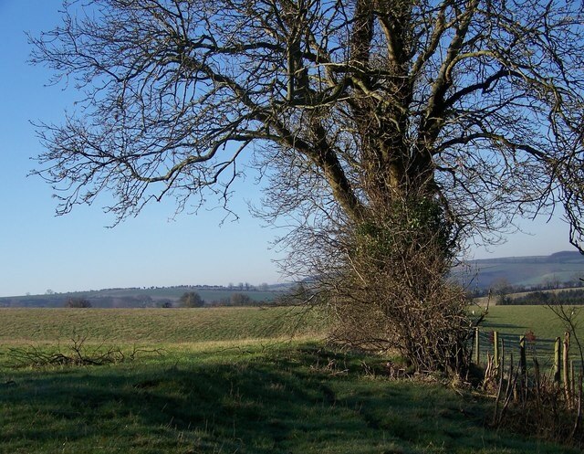 Billede "Stratford Toney" af Trish Steel (CC BY-SA) / beskåret fra det originale billede