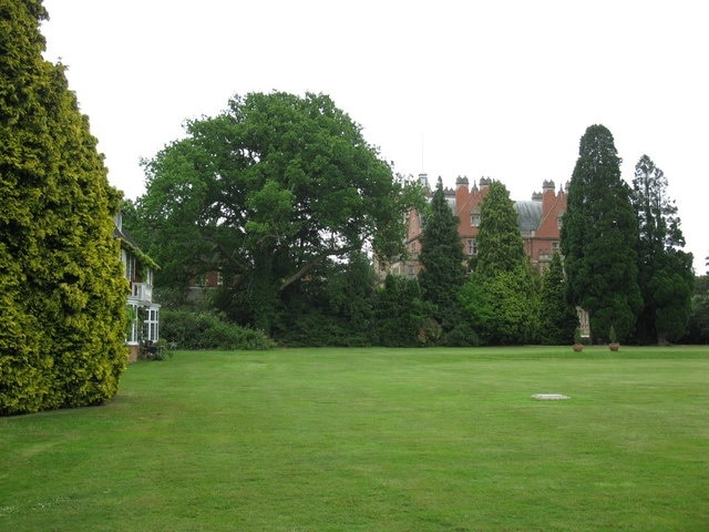 Bearwood House Lawn Looking across the lawn with the house behind the trees.