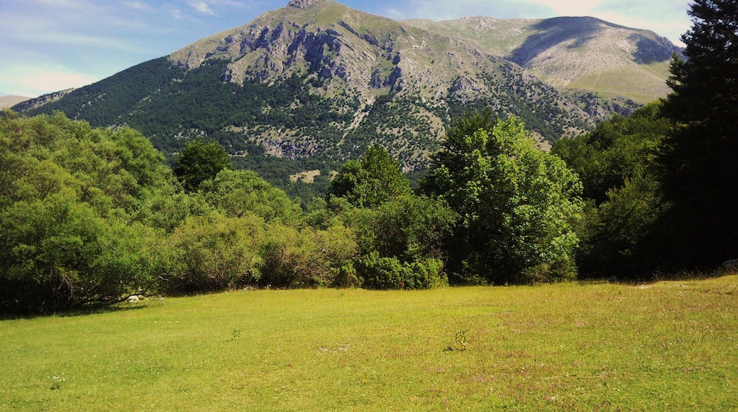 Foto "Parco nazionale d'Abruzzo" di dimitri.menecali (CC BY) / Ritaglio dell’originale