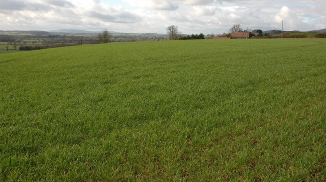 Photo "Longdon" by Philip Halling (CC BY-SA) / Cropped from original