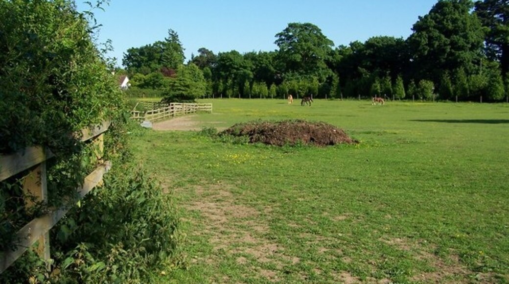 Ảnh "Awbridge" của David Martin (CC BY-SA) / Cắt từ ảnh gốc