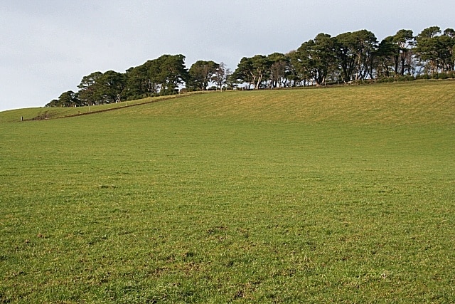 Ten Rood Hill (1) Looking uphill from above Mains of Drummuir.