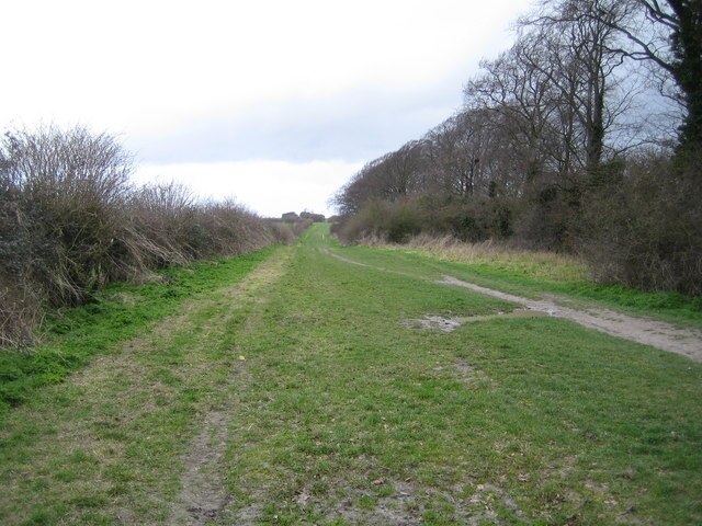 Photo "Totternhoe" by Nigel Cox (CC BY-SA) / Cropped from original
