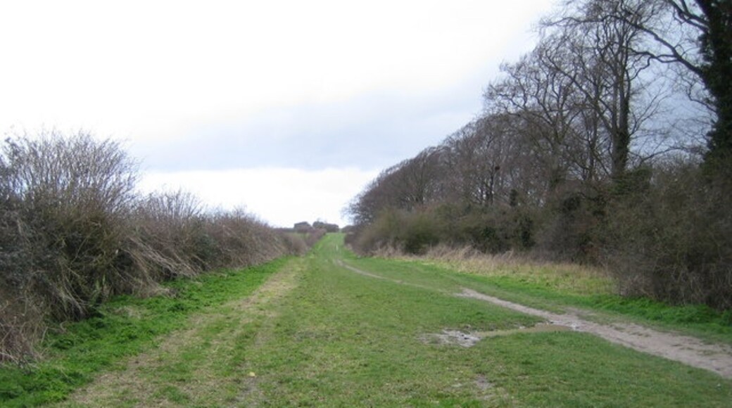 Photo "Totternhoe" by Nigel Cox (CC BY-SA) / Cropped from original