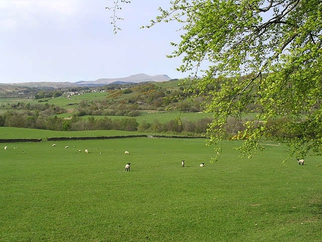 Sheep pasture Viewed from the A762 near Fintloch Farm with St John's of Dalry in the background.