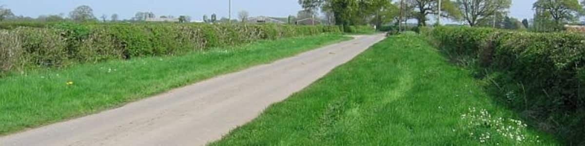 Photo "Aston Heath Wide verged road, Aston Heath." by Richard Webb (Creative Commons Attribution-Share Alike 2.0) / Cropped from original