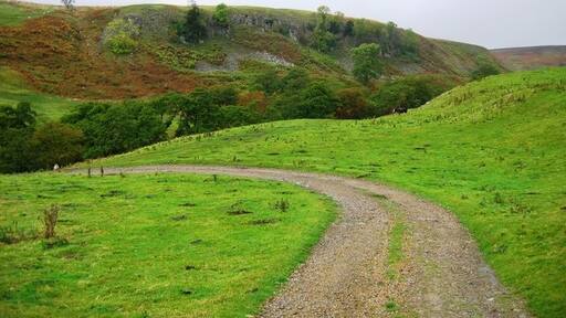 Kuva ”New Forest” käyttäjältä Graham Scarborough (CC BY-SA) / rajattu alkuperäisestä kuvasta