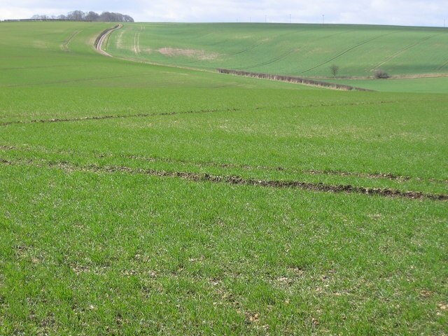 Photo "Kirby Grindalythe" by Stephen Horncastle (CC BY-SA) / Cropped from original