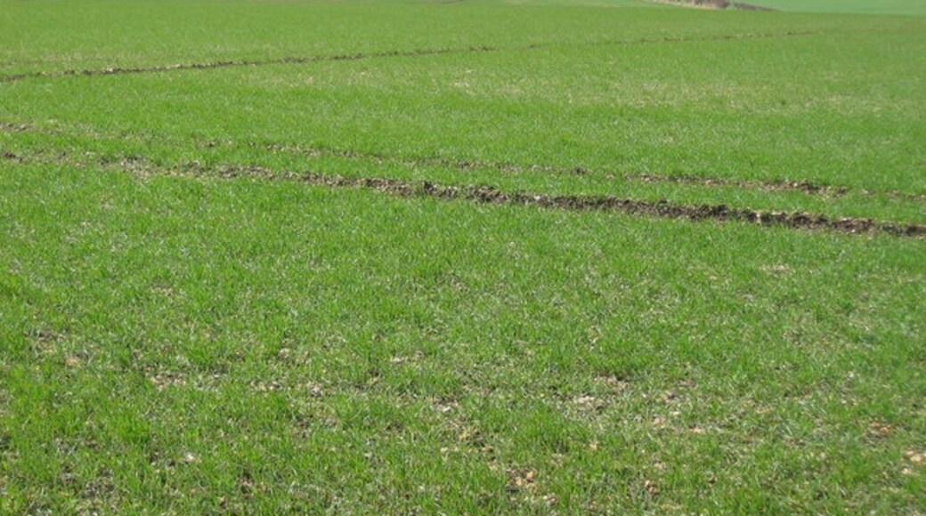 Photo "Kirby Grindalythe" by Stephen Horncastle (CC BY-SA) / Cropped from original