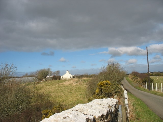 Ynys-llyn smallholding, Coedana