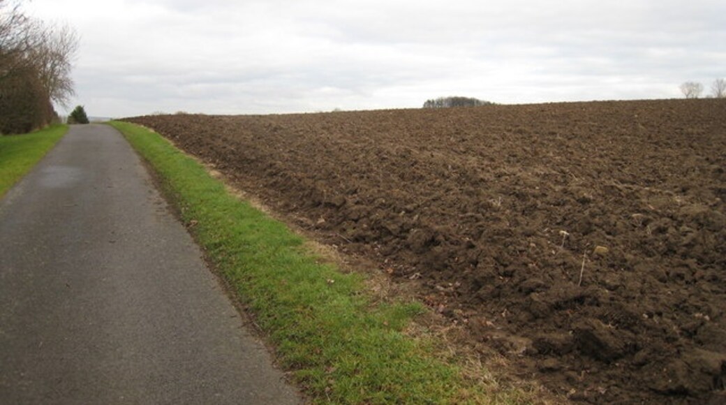 Foto "Eppleby" de Philip Barker (CC BY-SA) / Recortada do original