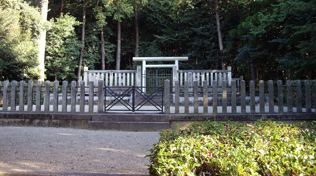 Takanuka ๋์ "์ ์์๋
ธ ์จ์ฒ" ์ฌ์ง(CC BY) / ์๋ณธ์์ ์๋ผ๋