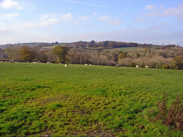 Pasture near Pen-cae, Llanarth