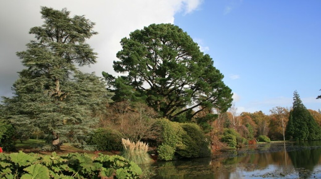 Photo "Sheffield Park Garden" by Geoff Cooper (CC BY-SA) / Cropped from original