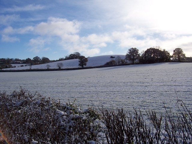 Whimplewood from Woodhayes Cottage Looking SE towards the hill at Whimplewood from the raised bank at Woodhayes Cottage.