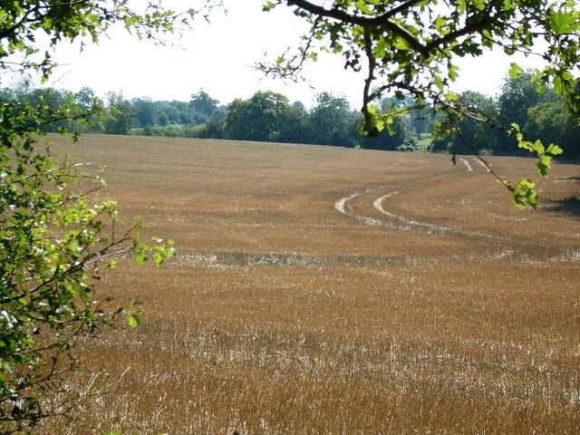Kuva ”Westmill” käyttäjältä Jodie Whiteley (CC BY-SA) / rajattu alkuperäisestä kuvasta