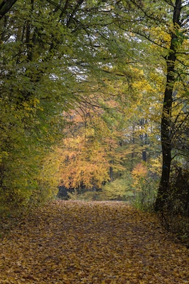 Herbstwald, Landschaftsschutzgebiet Ausweisung des LSG Südlicher Jura mit Moritzberg und Umgebung, Deckersberg