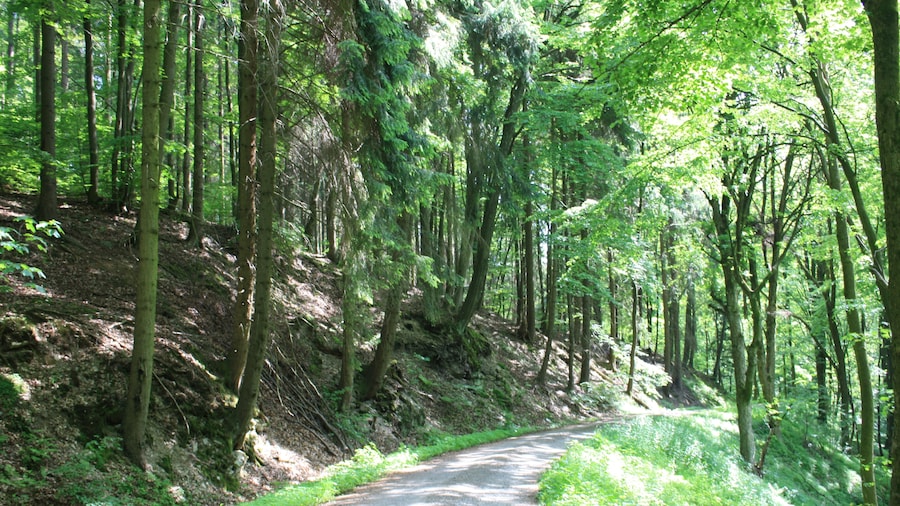 Photo "Wanderung hin und zurück nach Stolberg/Harz von Rodishain - Rückweg" by Gottfried Hoffmann -… (Creative Commons Attribution 3.0) / Cropped from original