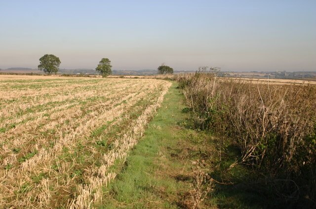 Foto “Catworth” tomada por Shaun Ferguson (CC BY-SA); recorte de la original