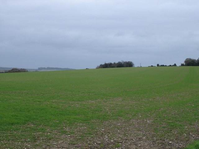 Down farmland above Gussage St Michael