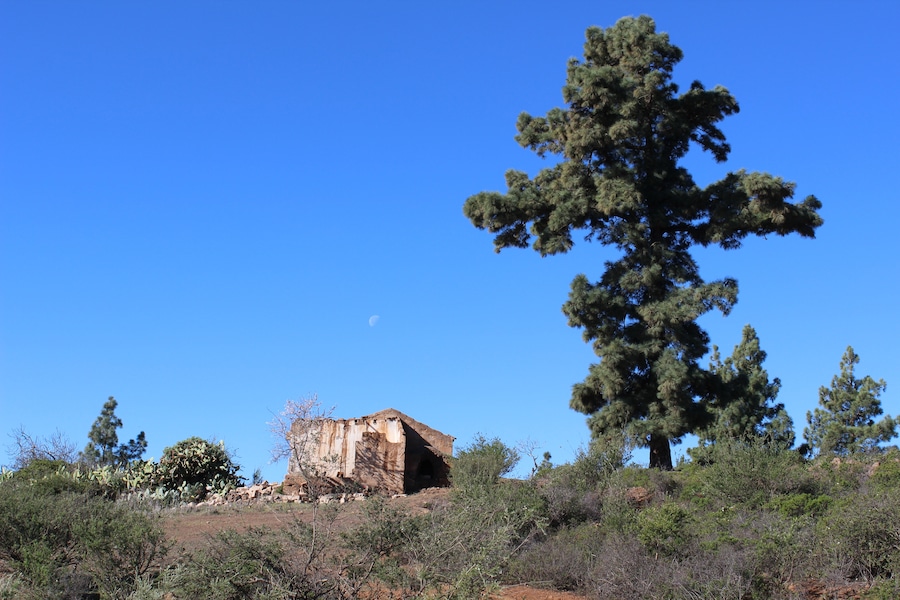 abandoned homes