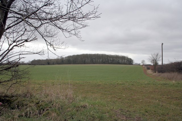 Foto „Süd Rauceby“ von Terry Butcher (CC BY-SA)/zugeschnittenes Original