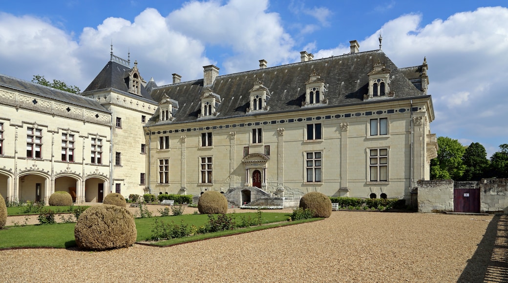 Chateau de Breze, Bellevigne-les-Châteaux, Maine-et-Loire, France