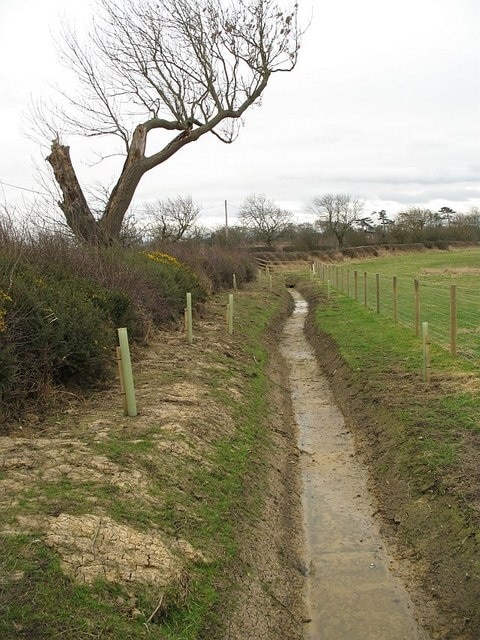 New ditch, Carr Grange Newly dug ditch between the field (a former open cast mine) and road.