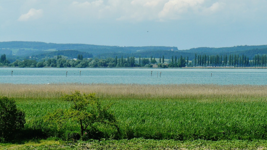 Photo "Damm zur Insel Reichenau" by qwesy qwesy (Creative Commons Attribution 3.0) / Cropped from original