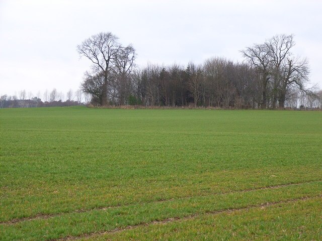 Photo "Hackforth" by Oliver Dixon (CC BY-SA) / Cropped from original