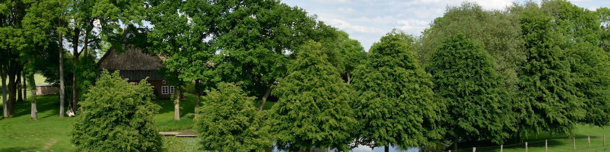 Photo "This image was uploaded as part of Wiki Loves Earth 2014." by Nightflyer (Creative Commons Attribution 3.0) / Cropped from original