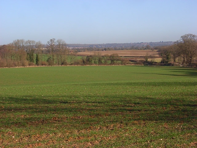 Farmland, Sulhamstead A view over a cereal crop towards the western suburbs of Reading.