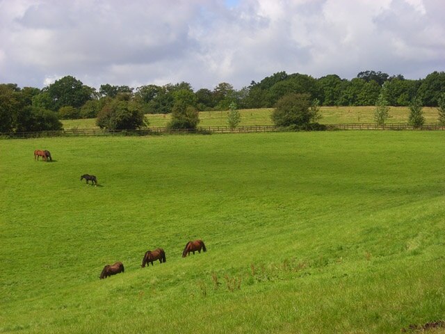 Photo "Lacey Green" by Andrew Smith (CC BY-SA) / Cropped from original