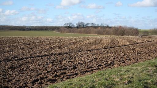 Foto „Rigsby with Ailby“ von Richard Croft (CC BY-SA)/zugeschnittenes Original