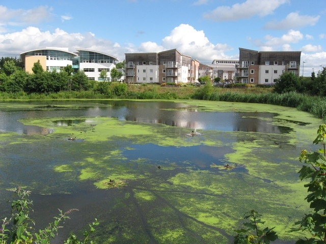 Inlet of Ely River, Cardiff