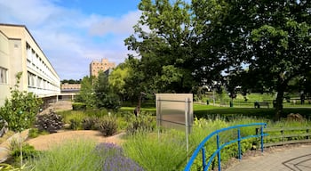 University Hospital of Wales gardens