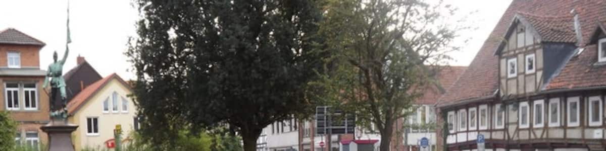 Photo "Helmstedt- Albrechtsplatz" by Colin Smith on geo.hlipp.de (Creative Commons Attribution-Share Alike 2.0) / Cropped from original